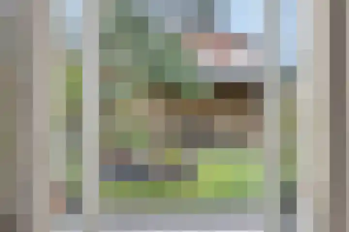 Braakstraat 111 Oss thumbnail 25