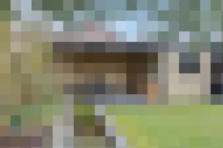 Braakstraat 111 Oss thumbnail 28