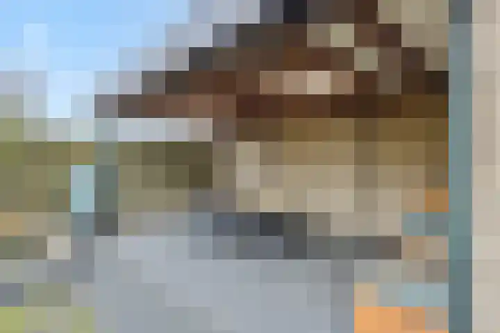 Braakstraat 111 Oss thumbnail 29