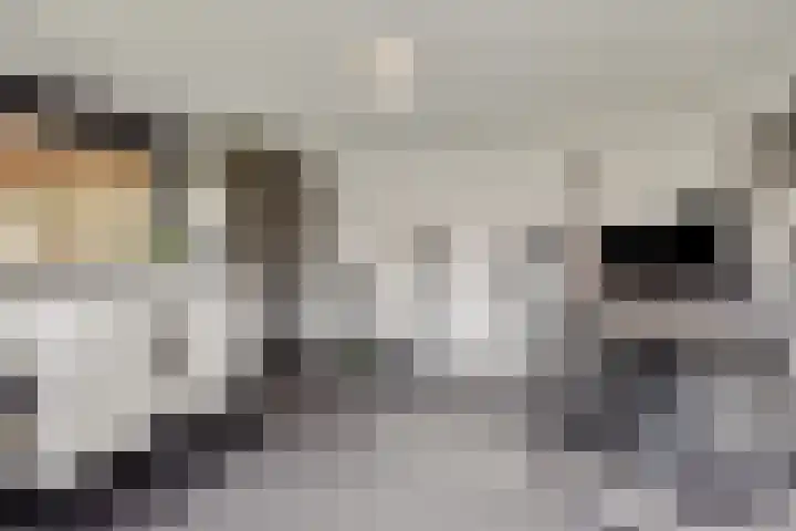 Braakstraat 111 Oss thumbnail 30