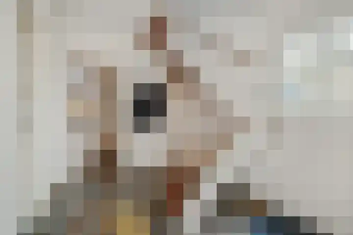 Braakstraat 111 Oss thumbnail 34