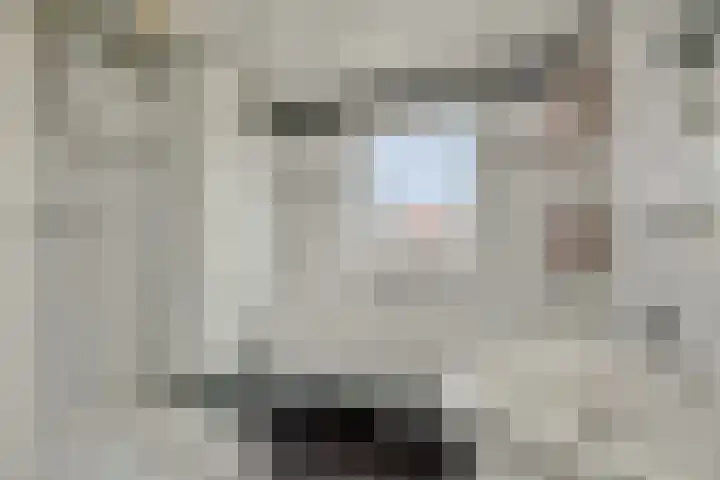 Braakstraat 111 Oss thumbnail 42