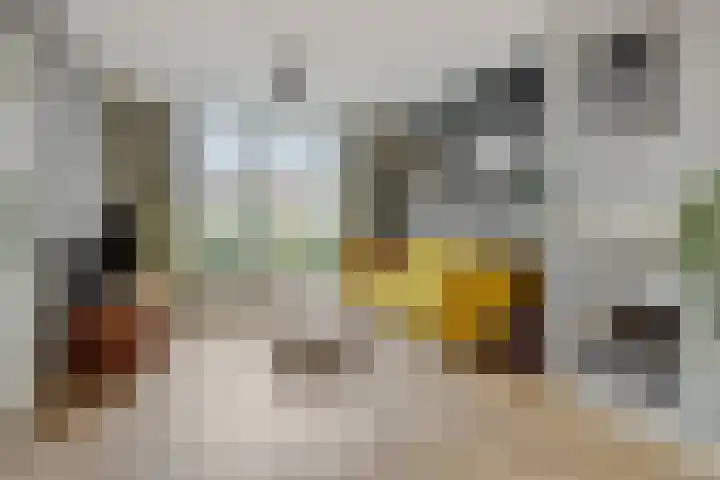 Braakstraat 111 Oss thumbnail 9