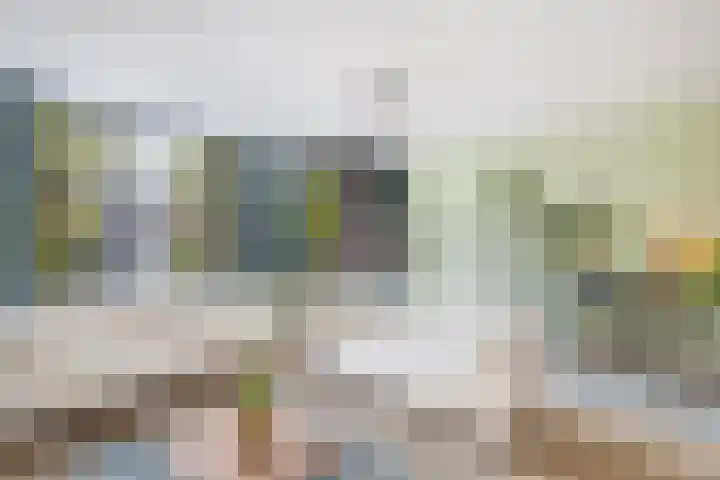 Braakstraat 30 Oss thumbnail 17