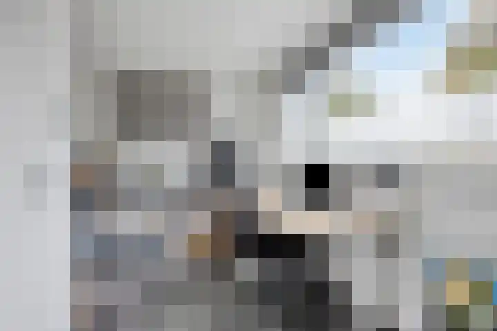 Braakstraat 30 Oss thumbnail 17