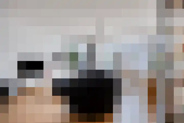 Braakstraat 30 Oss thumbnail 5