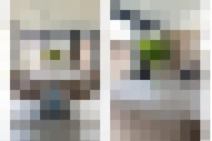 Braakven 25 Berlicum thumbnail 17