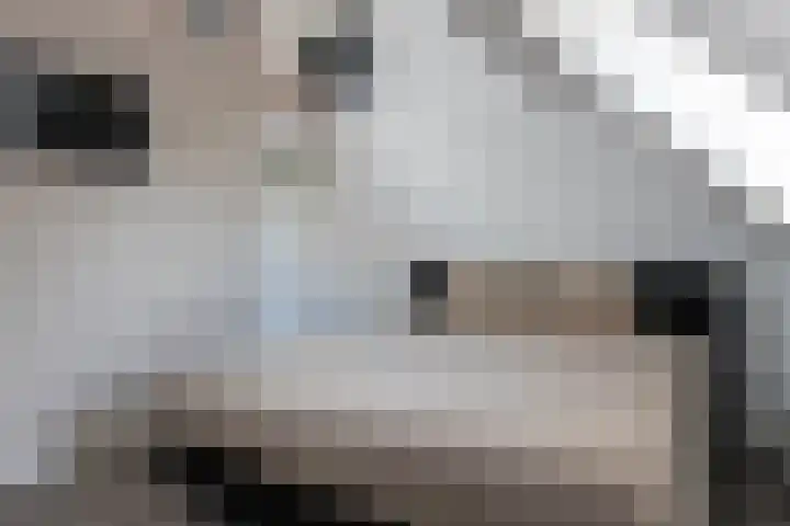 Braakven 25 Berlicum thumbnail 22