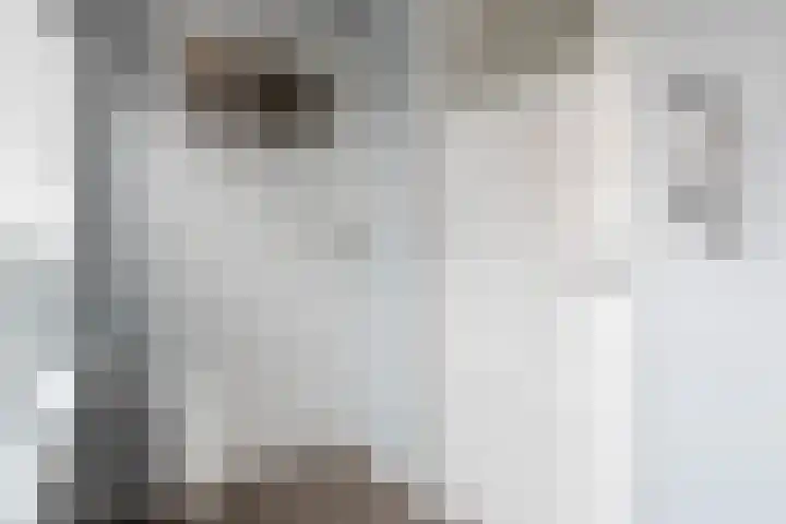 Braakven 25 Berlicum thumbnail 35