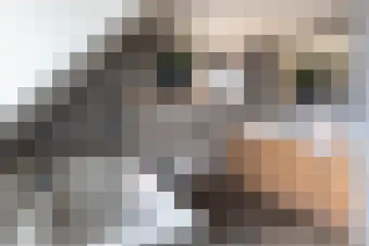 Braakven 25 Berlicum thumbnail 4