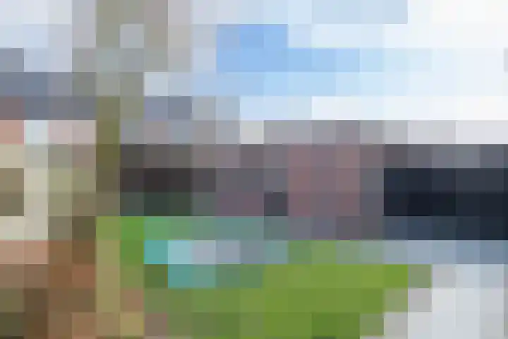 Braakven 25 Berlicum thumbnail 40