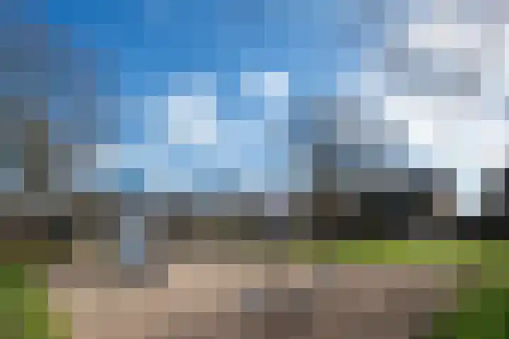 Braakven 25 Berlicum thumbnail 45