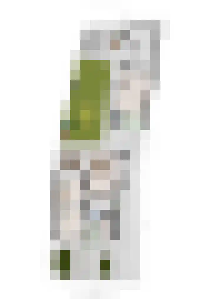 Braakven 25 Berlicum thumbnail 49