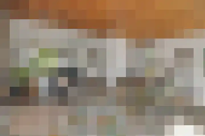 Braakven 36 Berlicum thumbnail 14