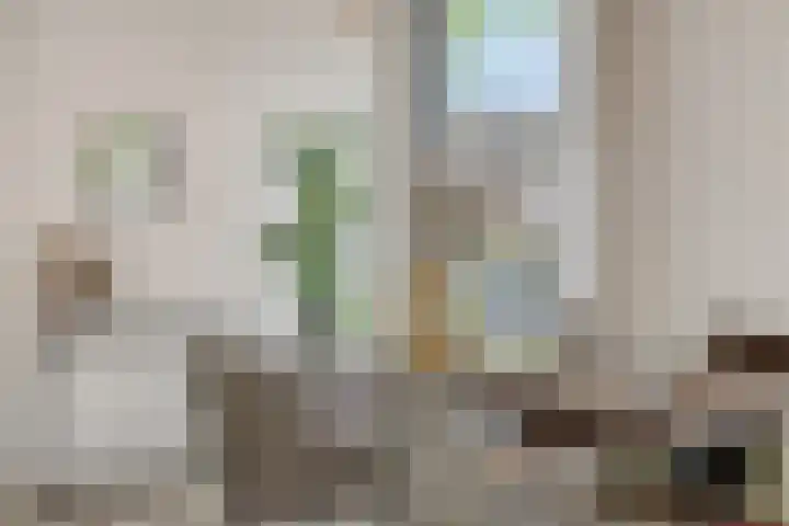 Braakven 36 Berlicum thumbnail 17