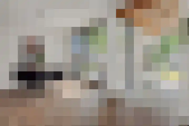 Braakven 36 Berlicum thumbnail 20