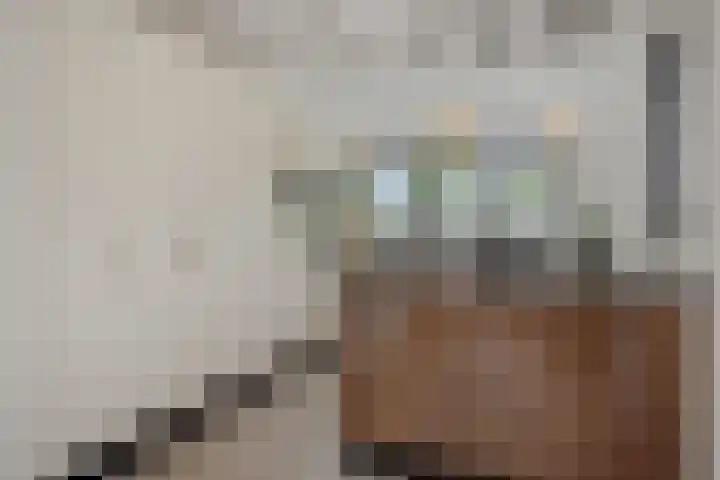 Braakven 36 Berlicum thumbnail 26