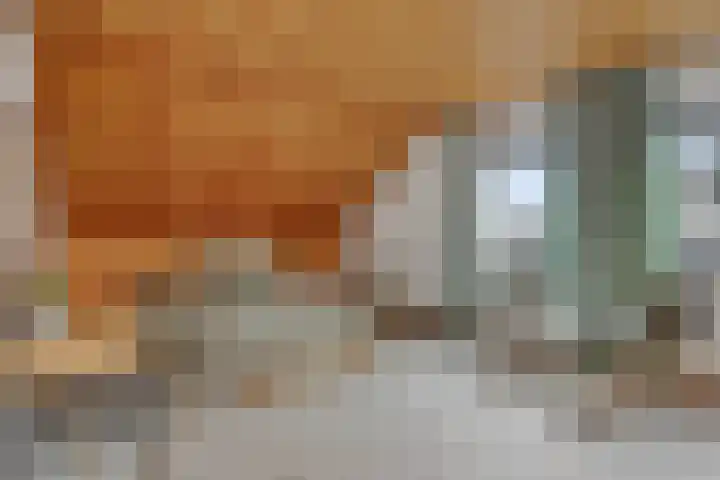 Braakven 36 Berlicum thumbnail 30