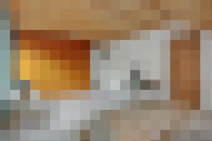 Braakven 36 Berlicum thumbnail 32