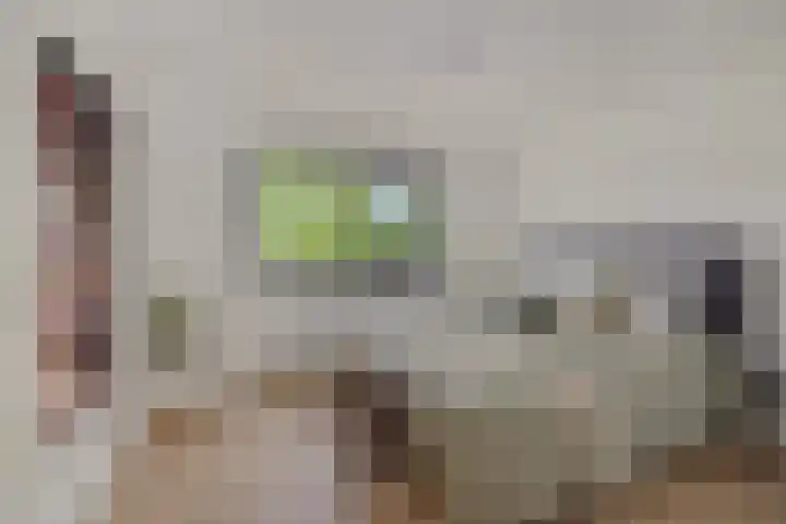 Braakven 36 Berlicum thumbnail 33