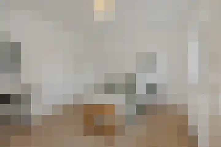 Braakven 36 Berlicum thumbnail 37