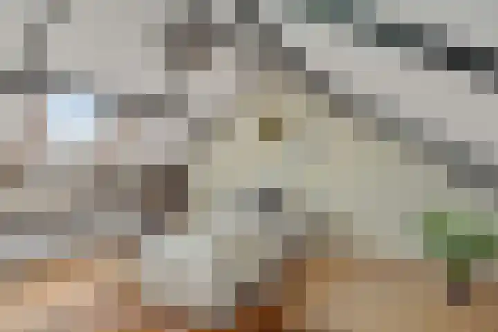 Braakven 36 Berlicum thumbnail 42