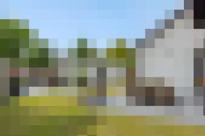 Braakven 36 Berlicum thumbnail 48