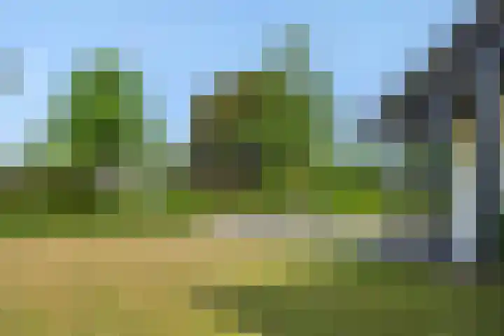 Braakven 36 Berlicum thumbnail 55