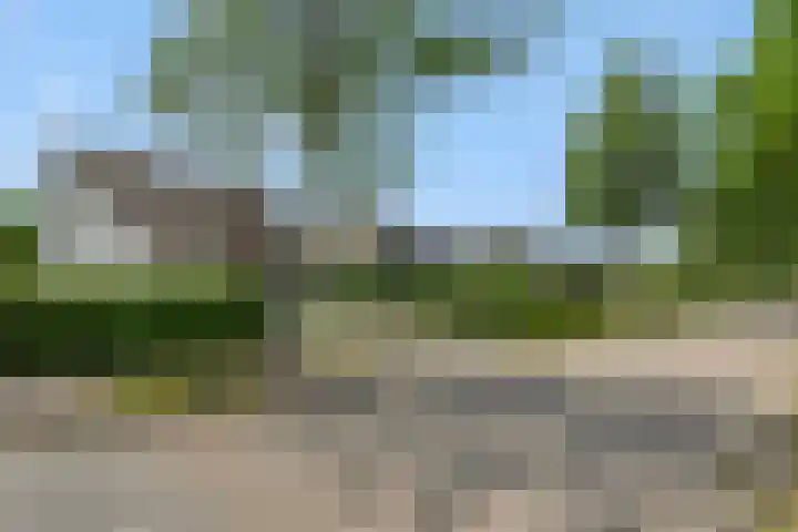 Braakven 36 Berlicum thumbnail 59