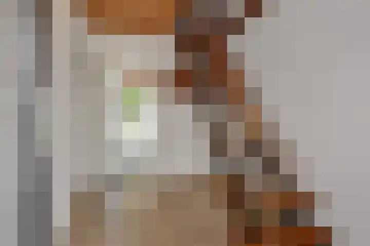 Braakven 36 Berlicum thumbnail 8