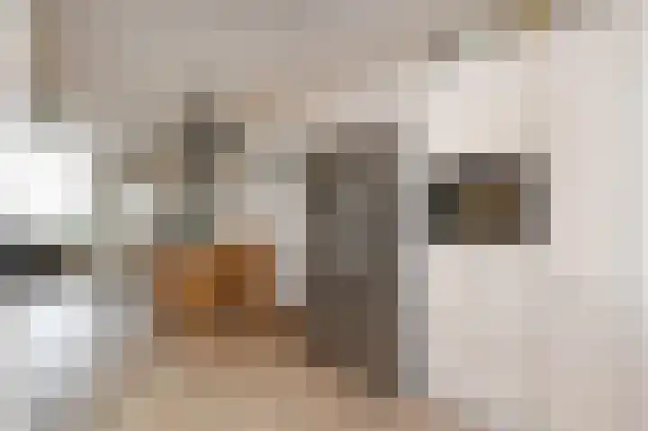 Braamberg 8 Zoetermeer thumbnail 12