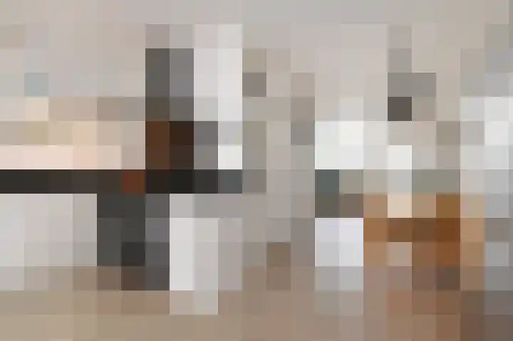 Braamberg 8 Zoetermeer thumbnail 13