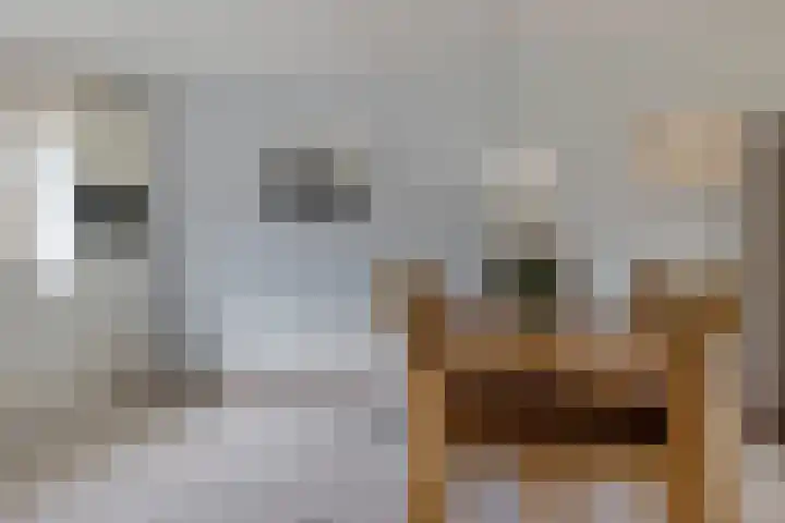 Braambos 10 Sleen thumbnail 15
