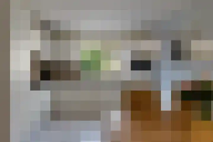 Braambos 10 Sleen thumbnail 21