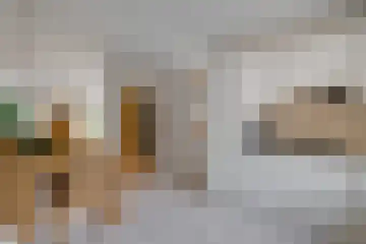 Braambos 10 Sleen thumbnail 23
