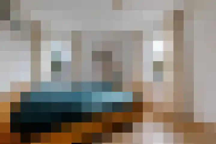 Braambos 10 Sleen thumbnail 25