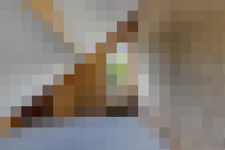 Braambos 10 Sleen thumbnail 32