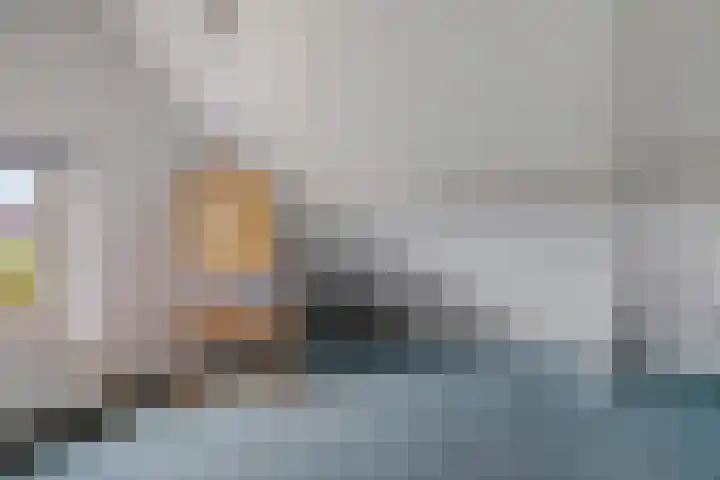 Braambos 10 Sleen thumbnail 37
