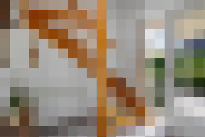 Braambos 10 Sleen thumbnail 39