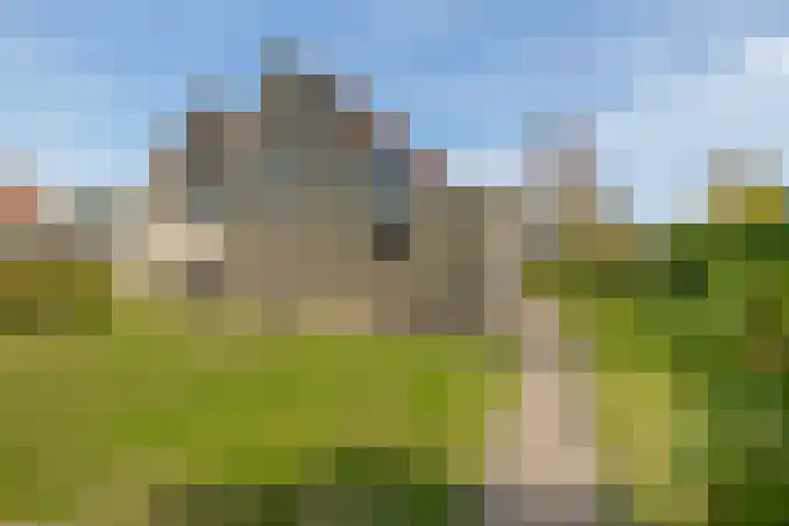 Braambos 10 Sleen thumbnail 43