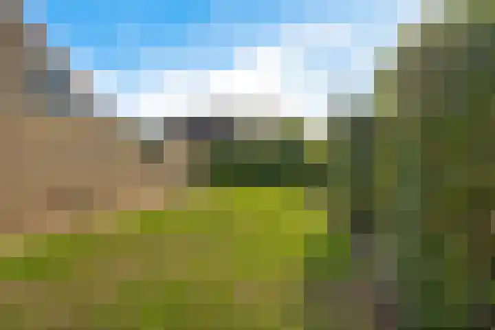 Braambos 10 Sleen thumbnail 46