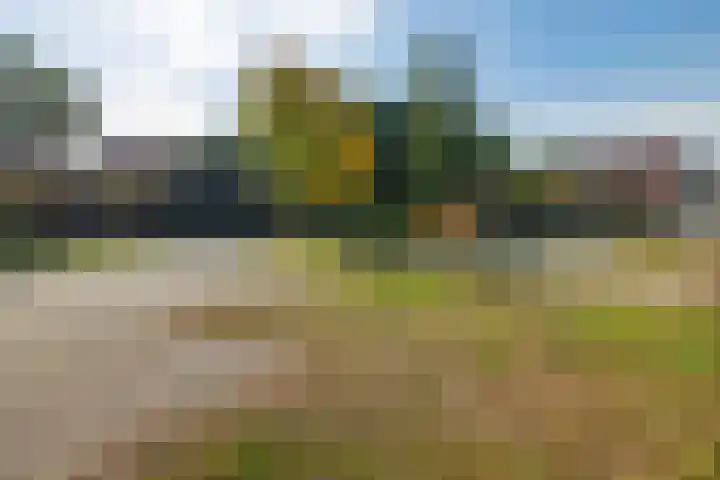 Braambos 10 Sleen thumbnail 50