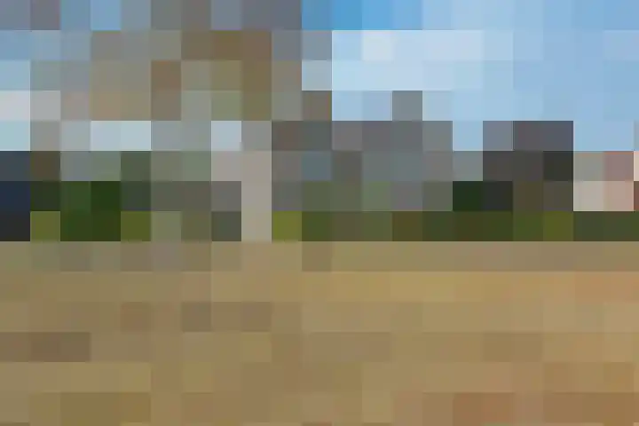 Braambos 10 Sleen thumbnail 7