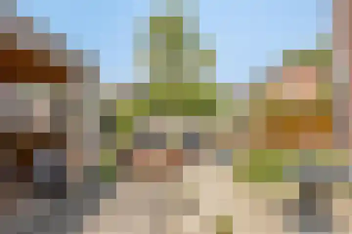 Braamkamp 106 Zutphen thumbnail 23