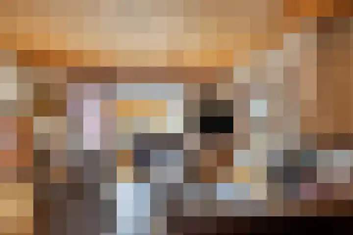 Braamkamp 106 Zutphen thumbnail 5