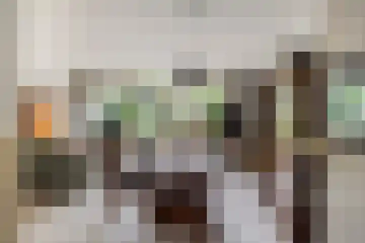 Braamkamp 155 Zutphen thumbnail 10