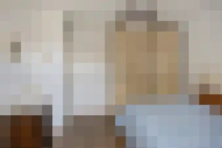 Braamkamp 155 Zutphen thumbnail 16