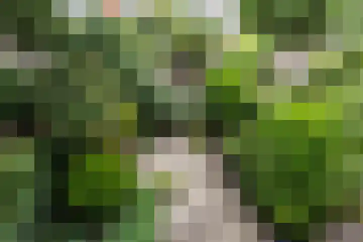 Braamkamp 155 Zutphen thumbnail 23