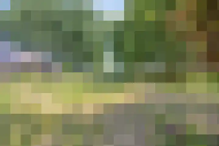 Braamkamp 155 Zutphen thumbnail 29