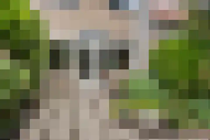 Braamkamp 155 Zutphen thumbnail 30
